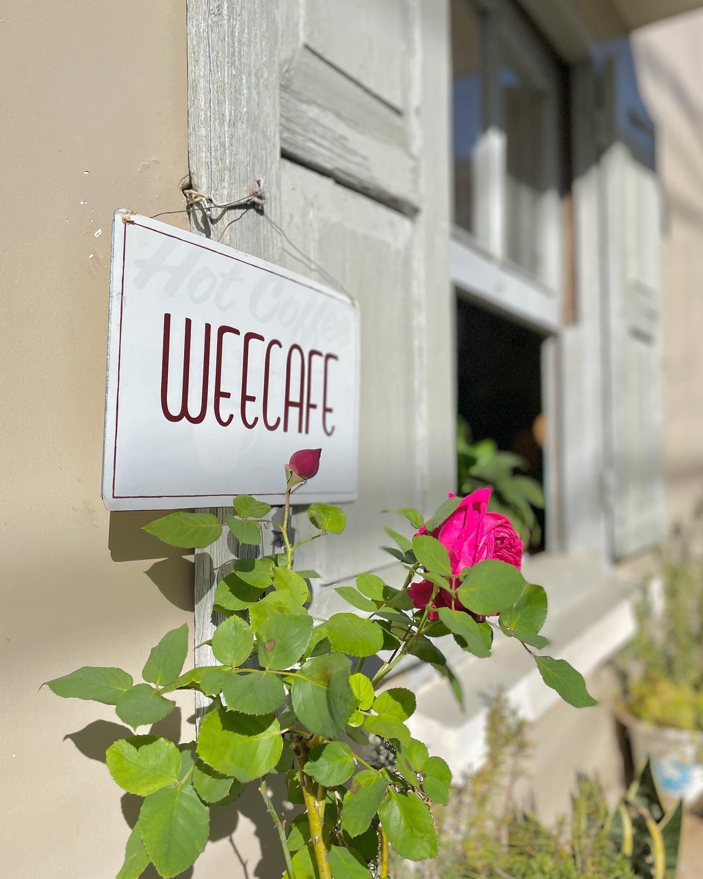 We Cafe – Khi quán xá là một nhà!